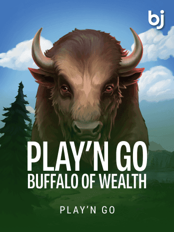 Play'n GO Buffalo of Wealth screenshot